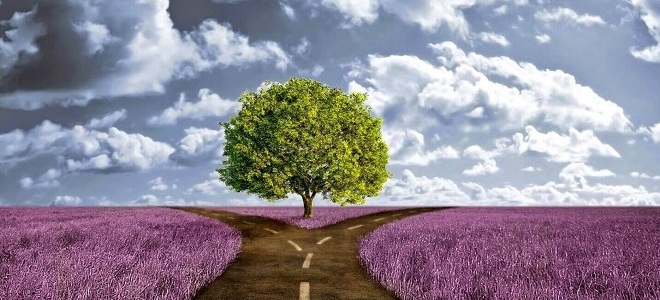 9 معظم التجارب القاسية في تاريخ علم النفس