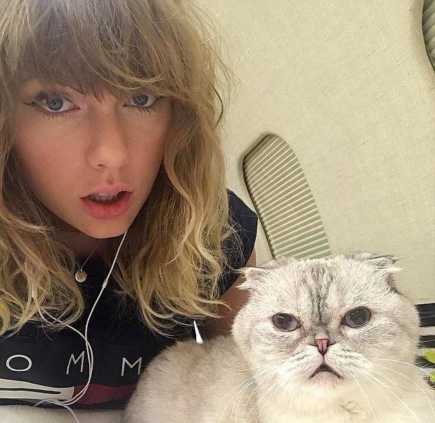 Cat Taylor Swift Victoria Beckhamin Super Uzanmis Hiyləini Təkrarladi