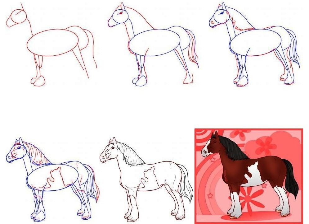 Рисуем лошадь поэтапно. Как научиться рисовать лошадь. Пошаговое рисование лошади. Лошадь рисунок карандашом. Поэтапный рисунок лошади.
