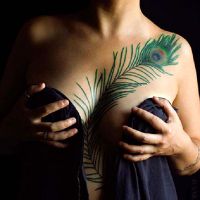 وشم ريشة القيمة